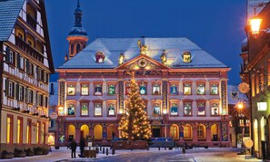 A historic building with a large Christmas tree in front, ornate facades, and a clock tower.