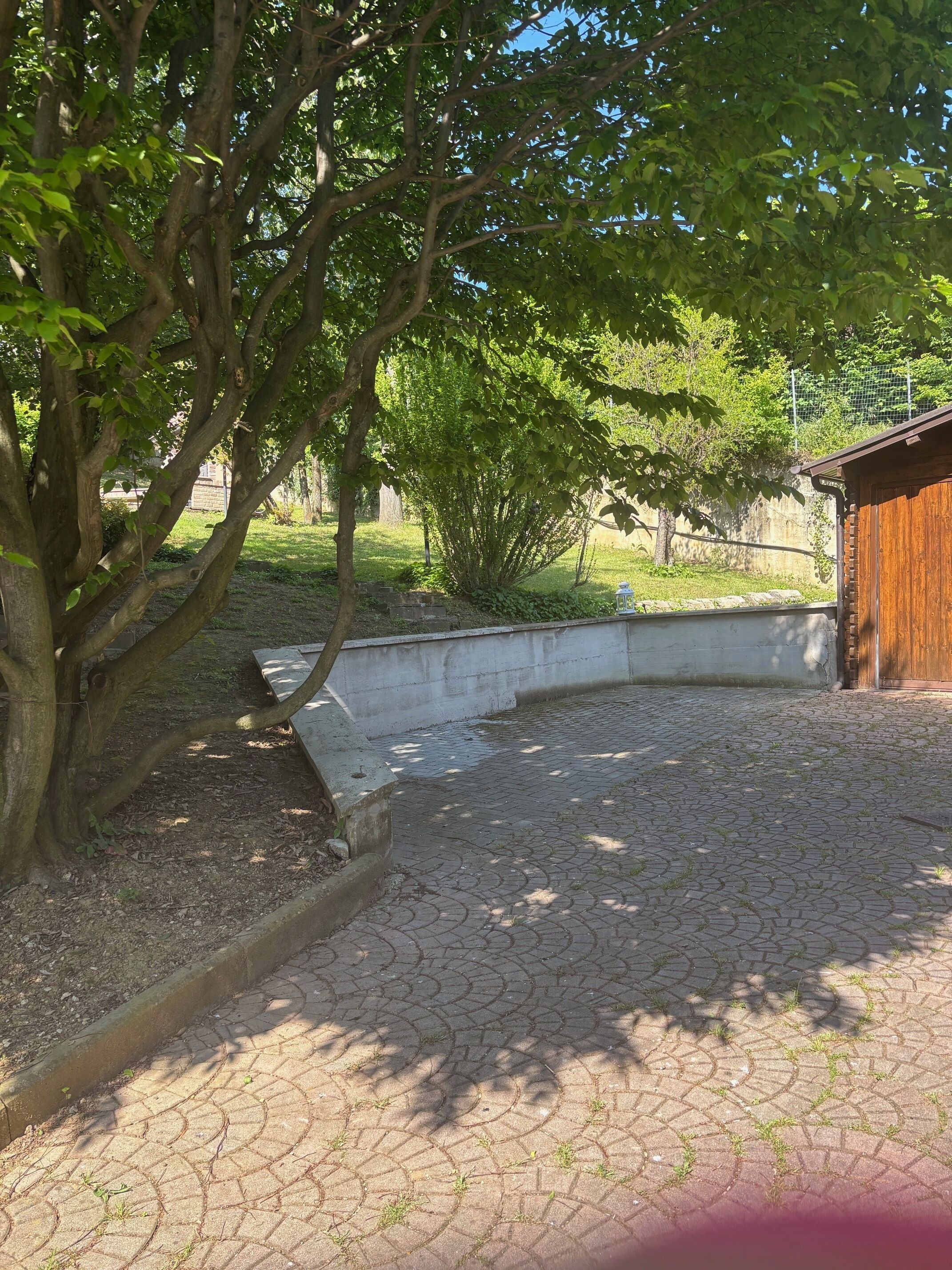 Une cour dallée avec un arbre et une structure en bois.