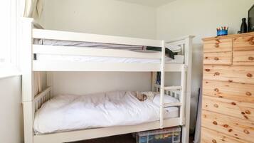 A bunk bed with a lower bunk and a storage drawer below.