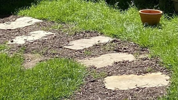 Un chemin de pierres bordé de part et d’autre par de l’herbe.
