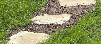 Private Apt 1 Bedroom Hi-Speed Internet, DC Metro.