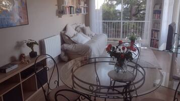 TV, DVD player, books, computer monitors