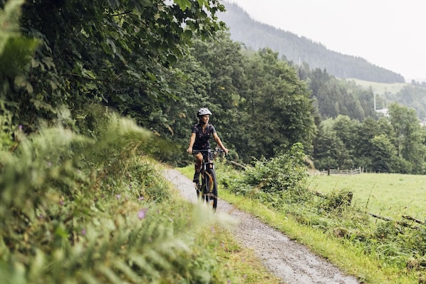 Un ciclista en un sendero estrecho rodeado de exuberante vegetación y colinas.