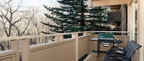 Condo, 2 habitaciones | Balcón
