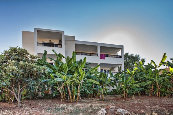 Un edificio moderno de varios pisos con balcones, rodeado de plantas de banano y otra vegetación.