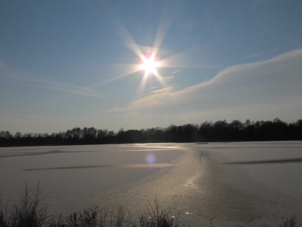 Unclassified image, 1 of 34, button