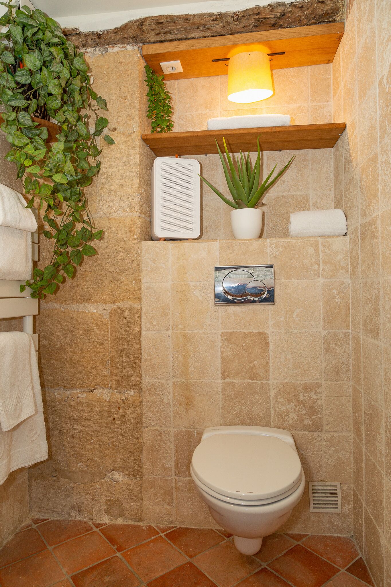 Ein Badezimmer mit Toilette, einem Regal mit Pflanze, einem Handtuchhalter und einem Wandbild.