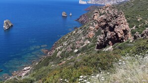 Paesaggio costiero con terreno roccioso e mare cristallino.