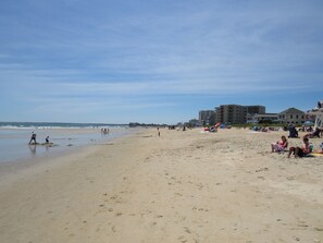 A beach with a pier, beachgoers, and buildings in the background. - Large three bedroom condo, steps from beach and amusement area (Old Orchard Beach)
