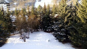 A snowy landscape with dense evergreen trees and a building in the background.
