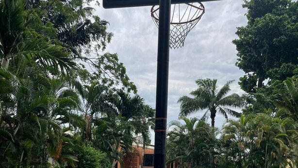 A swimming pool with a basketball hoop in the foreground, surrounded by lush greenery and a clear sky.