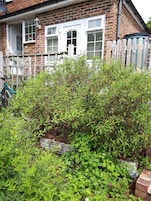 Apartment | Garden