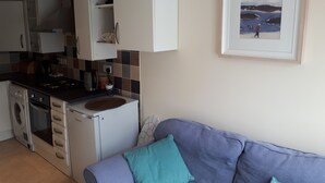 Un espace de vie compact comprenant un coin cuisine, un canapé avec des coussins et un tableau encadré au mur.