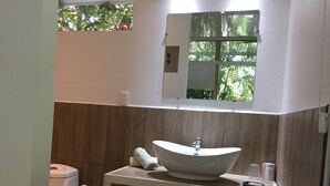 A bathroom with a white sink, a mirror, and a toilet. - Eliott Jungle (Jaco)