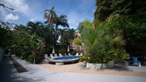 A circular pool surrounded by white lounge chairs and potted plants, with a clear blue sky above. - Eliott Jungle (Jaco)