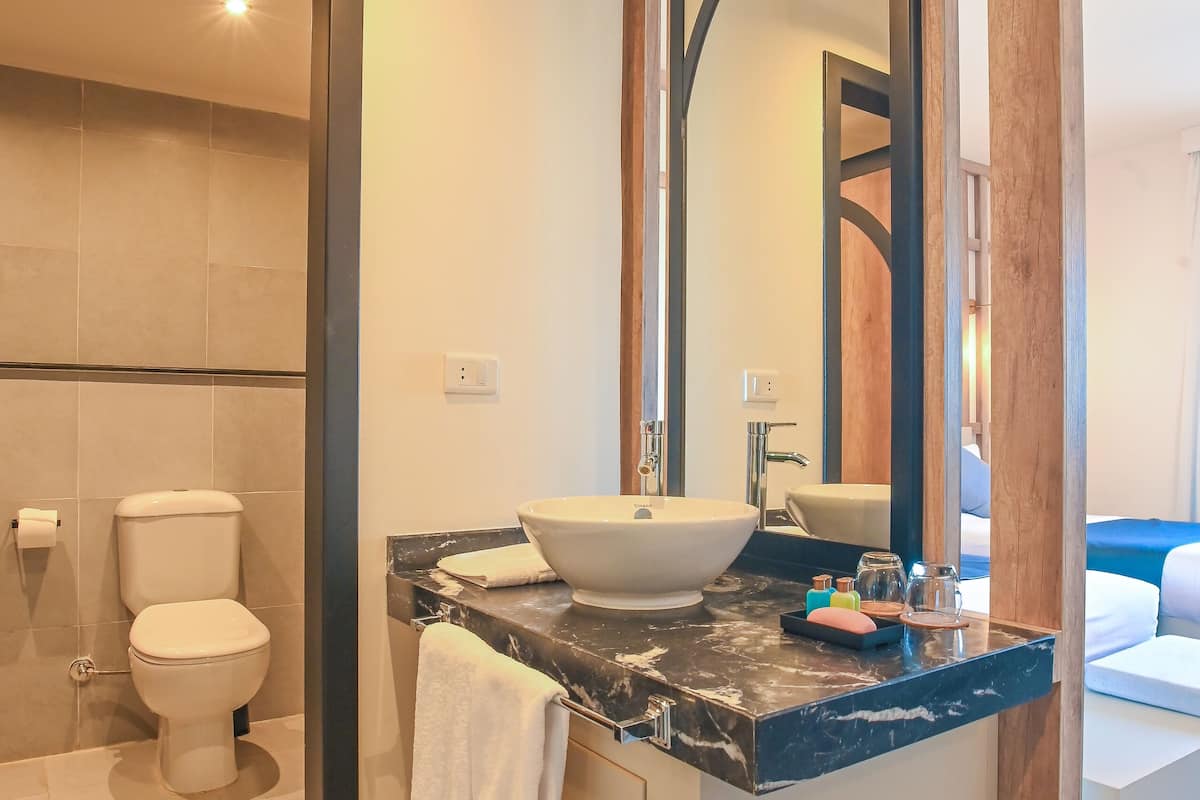 shower, free toiletries, hair dryer, soap