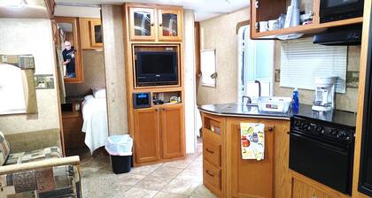 RV NSB Sun & Shade Tree, Pool & Picnic RV Vacation