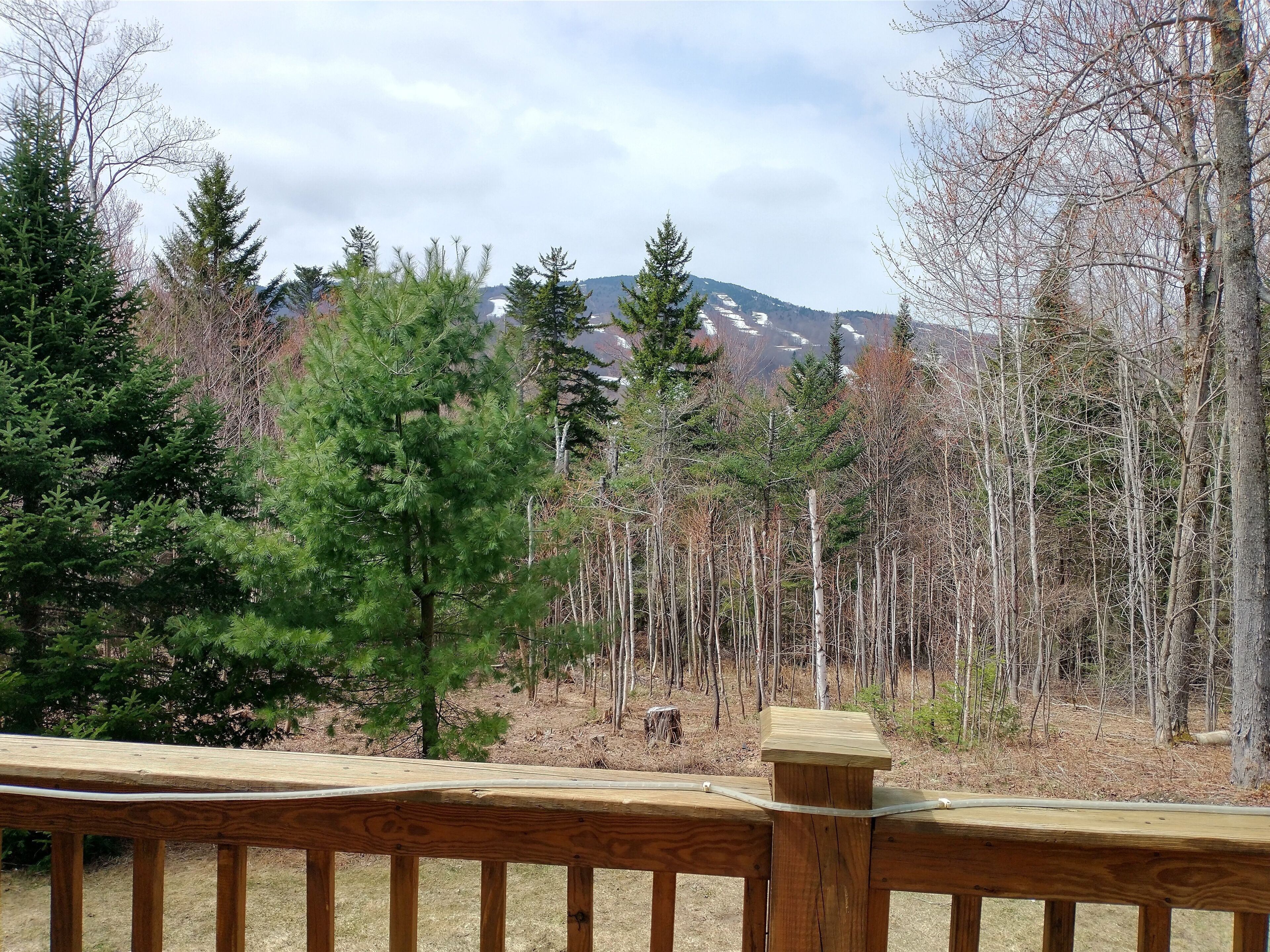 Mountain View Ski Escape