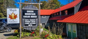Exterior - Mountain condo by Okemo w/ hot tub (Ludlow)
