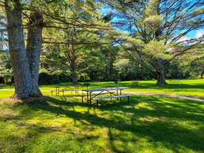 Ein Park mit Picknicktischen und Bänken, umgeben von großen Bäumen und blauem Himmel.