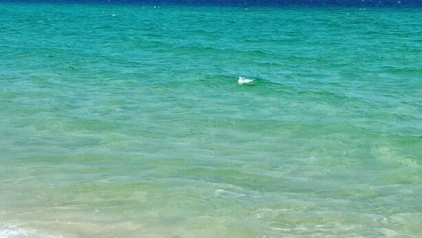 A beach with clear turquoise water and a sandy shore. - Beach Retreat in Perdido Key, Florida (Pensacola)