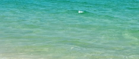 Una spiaggia nelle vicinanze