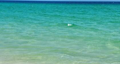 Beach Retreat in Perdido Key, Florida