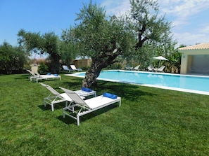 A poolside area with white lounge chairs, a swimming pool, and a tree.