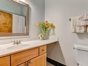 Departamento, varias camas (Bay Street Loft Unit 204) | Baño