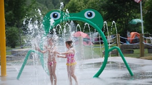 A water play area with a large frog-shaped water feature. - Great Blue Resorts - Golden Beach Resort (Alnwick/Haldimand)