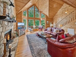 TV, fireplace