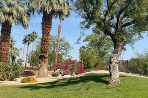 Un jardin aménagé avec des palmiers, un cactus et des plantes à fleurs.