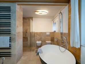 Combined shower/tub, hair dryer, bidet, towels