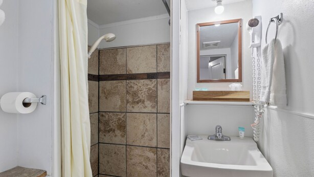 A bathroom with a shower, toilet paper, a sink, and a mirror. - Oceanside Ocean Front Cabins (Tillamook)