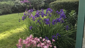 Un jardin avec des fleurs violettes et roses, une pelouse et une maison en arrière-plan.