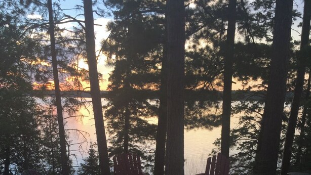 A fire pit surrounded by Adirondack chairs and picnic tables, set against a backdrop of tall trees and a body of water during sunset.