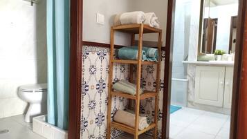 Combined shower/tub, hair dryer, bidet, towels