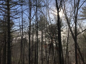 Miscellaneous - Cabin 3 Fall asleep to the sound of the New River's Song (Fries)