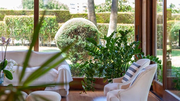 A room with a large window, a round topiary, a sofa, and a chair. - Spectacular finca with pool in the outskirts of Inca (Inca)