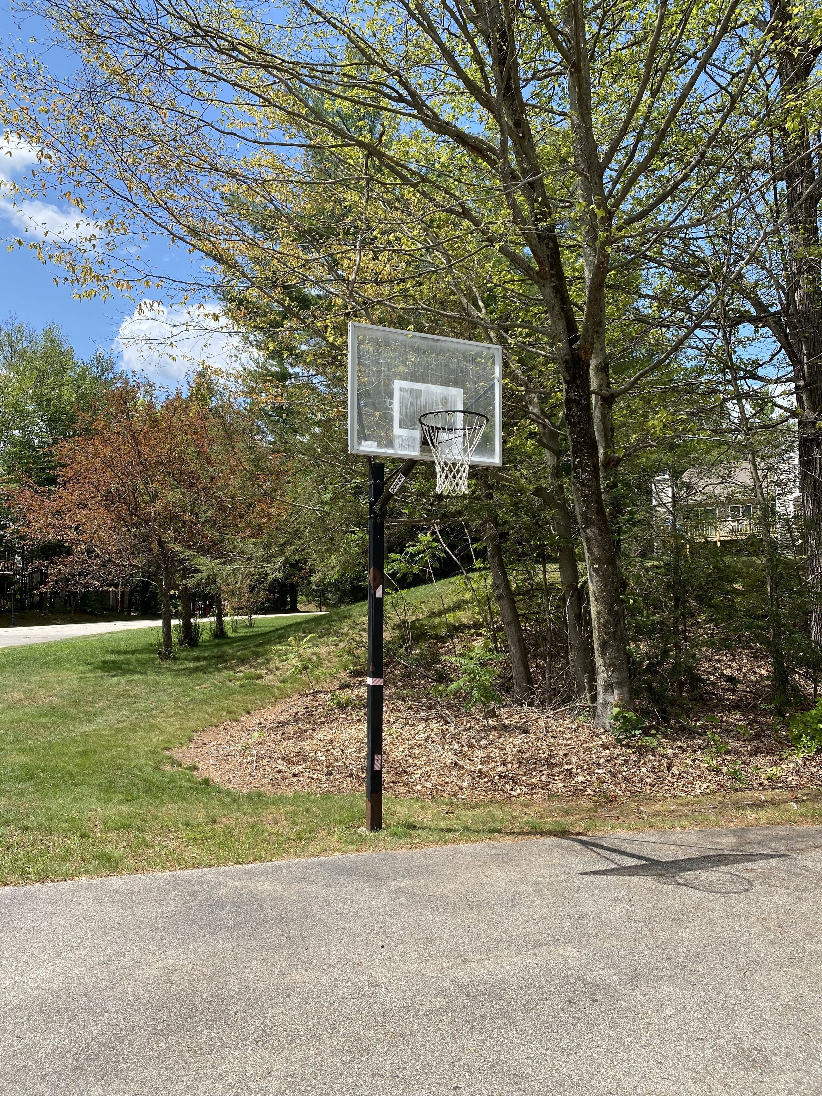 Un panier de basket dans un parc, avec des arbres et une zone herbeuse autour.