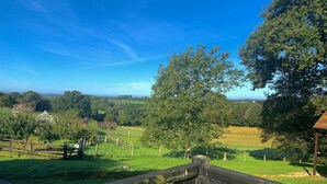 A rural landscape with a wooden fence, a large tree, and a distant view of fields and a small building.