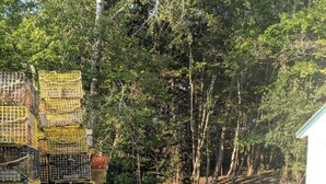 A gravel road leading through a wooded area with stacks of yellow lobster traps on the left. - Jameson Point Cottage in Scenic Friendship, Me (Friendship)