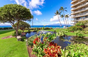 Property grounds - Maui Resort Rentals: The Whaler 1020 - Luxurious 10th Floor 1BR w/ Gorgeous Ocean and West Maui Mountain Views! (Lahaina)
