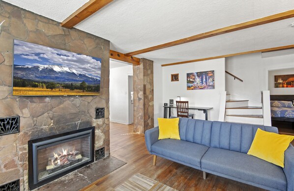 Smart TV, fireplace, books, music library