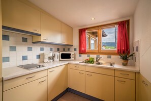 Fridge, microwave, stovetop, dishwasher