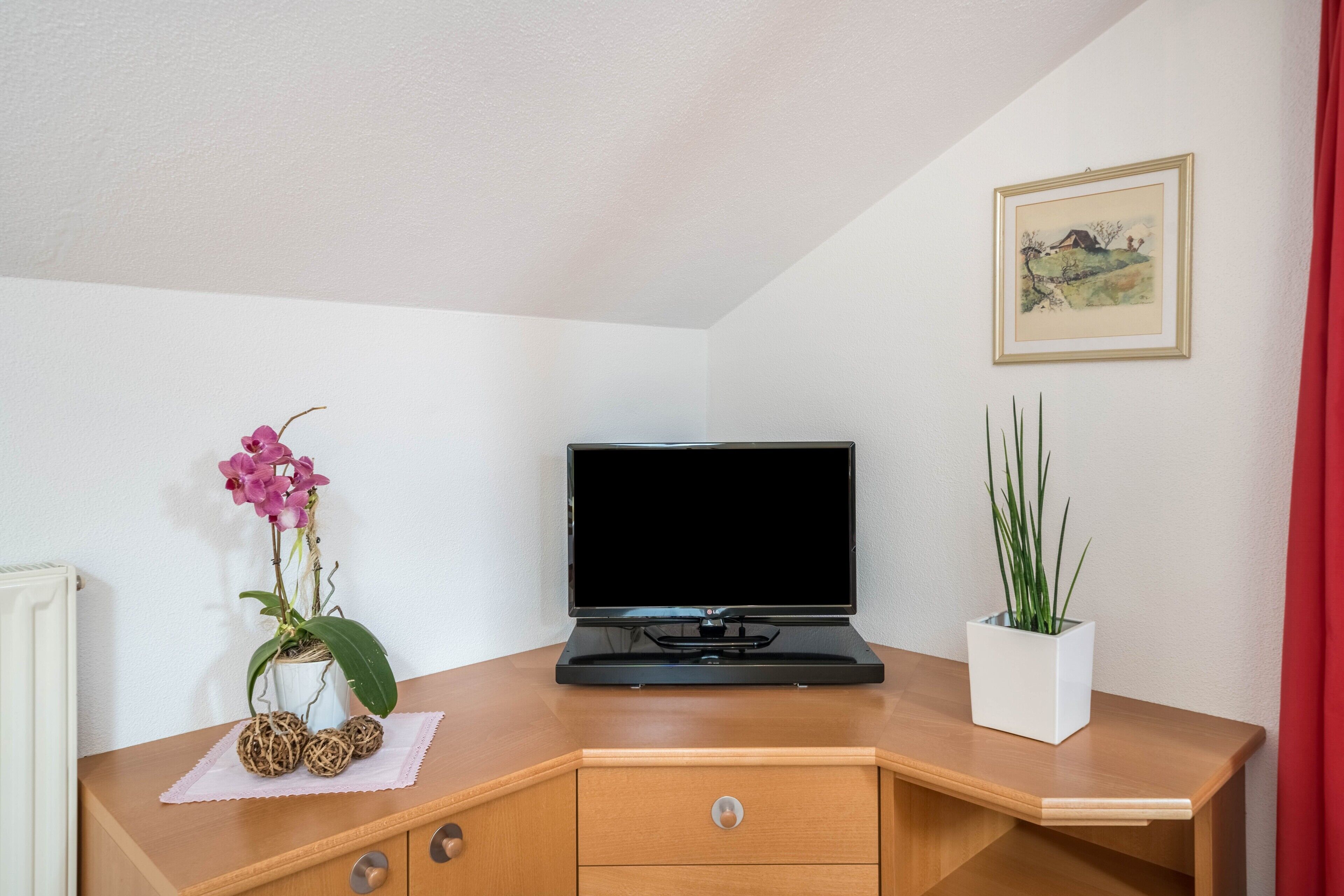 Une pièce avec un bureau en bois, une télévision, un pot d’orchidée, un tableau encadré et un radiateur.