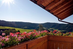 Un balcó de fusta amb vista a les verdes muntanyes i un cel serè.