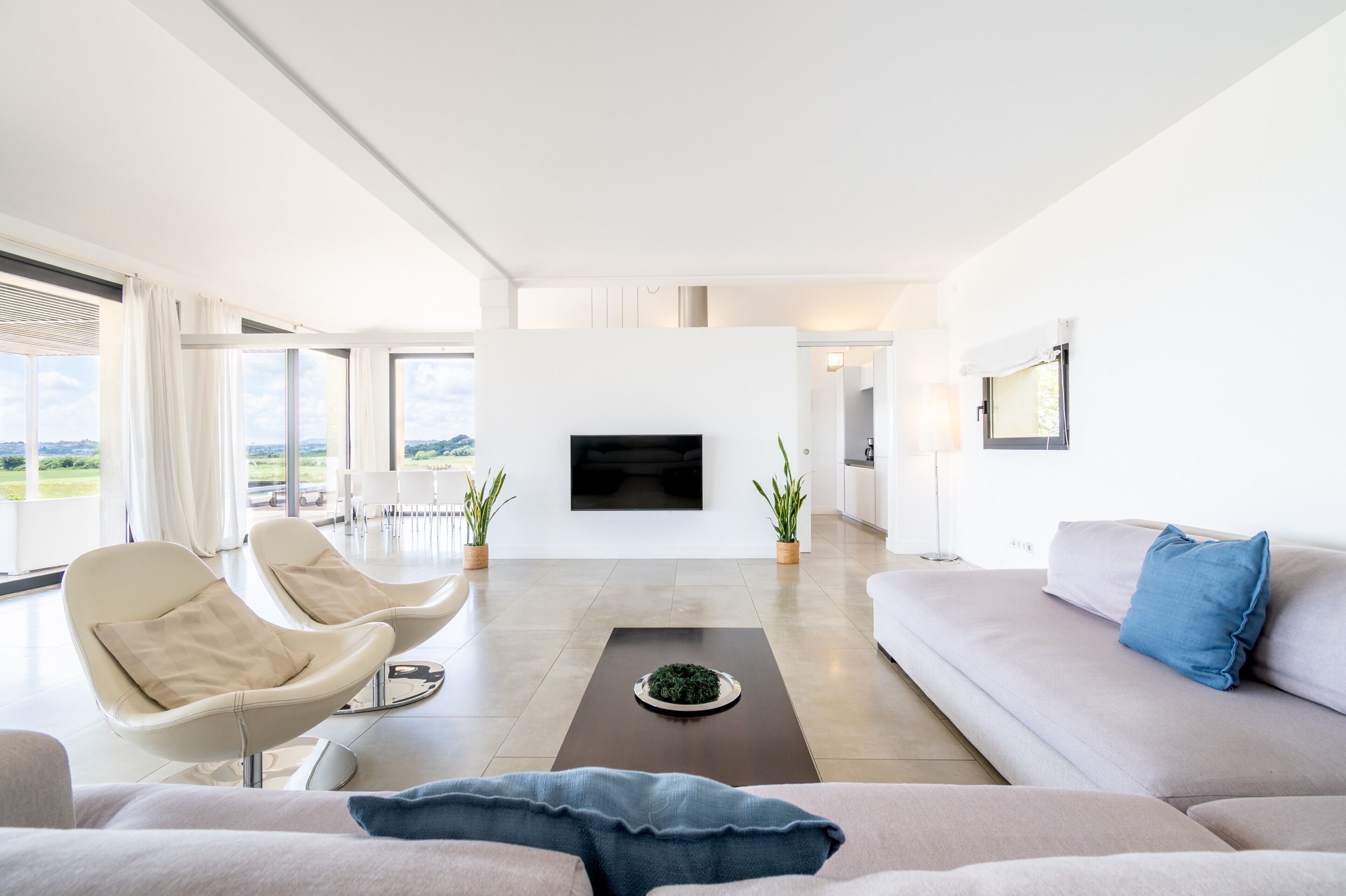 Televisio, pöytätennispöytä