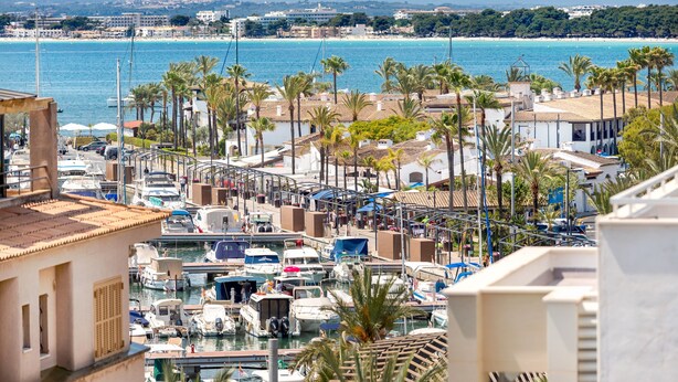 Un puerto deportivo con barcos amarrados, rodeado de edificios y palmeras.
