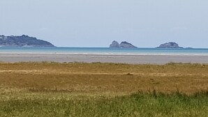 Paesaggio costiero con spiaggia, aree erbose e affioramenti rocciosi in lontananza.